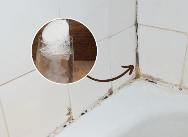 Jak usunąć pleśń z fug domowymi sposobami: 7 sprawdzonych metod na czystość Jak usunąć pleśń z fug domowymi sposobami: 7 sprawdzonych metod na czystość