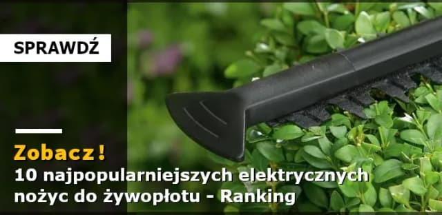 Nożyce do żywopłotu jakie wybrać – uniknij najczęstszych błędów Nożyce do żywopłotu jakie wybrać – uniknij najczęstszych błędów